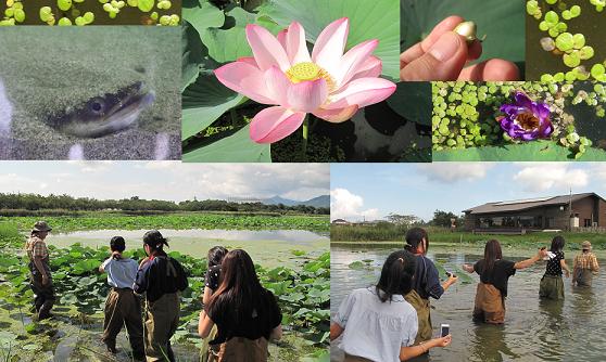 新潟県立新潟翠江高校